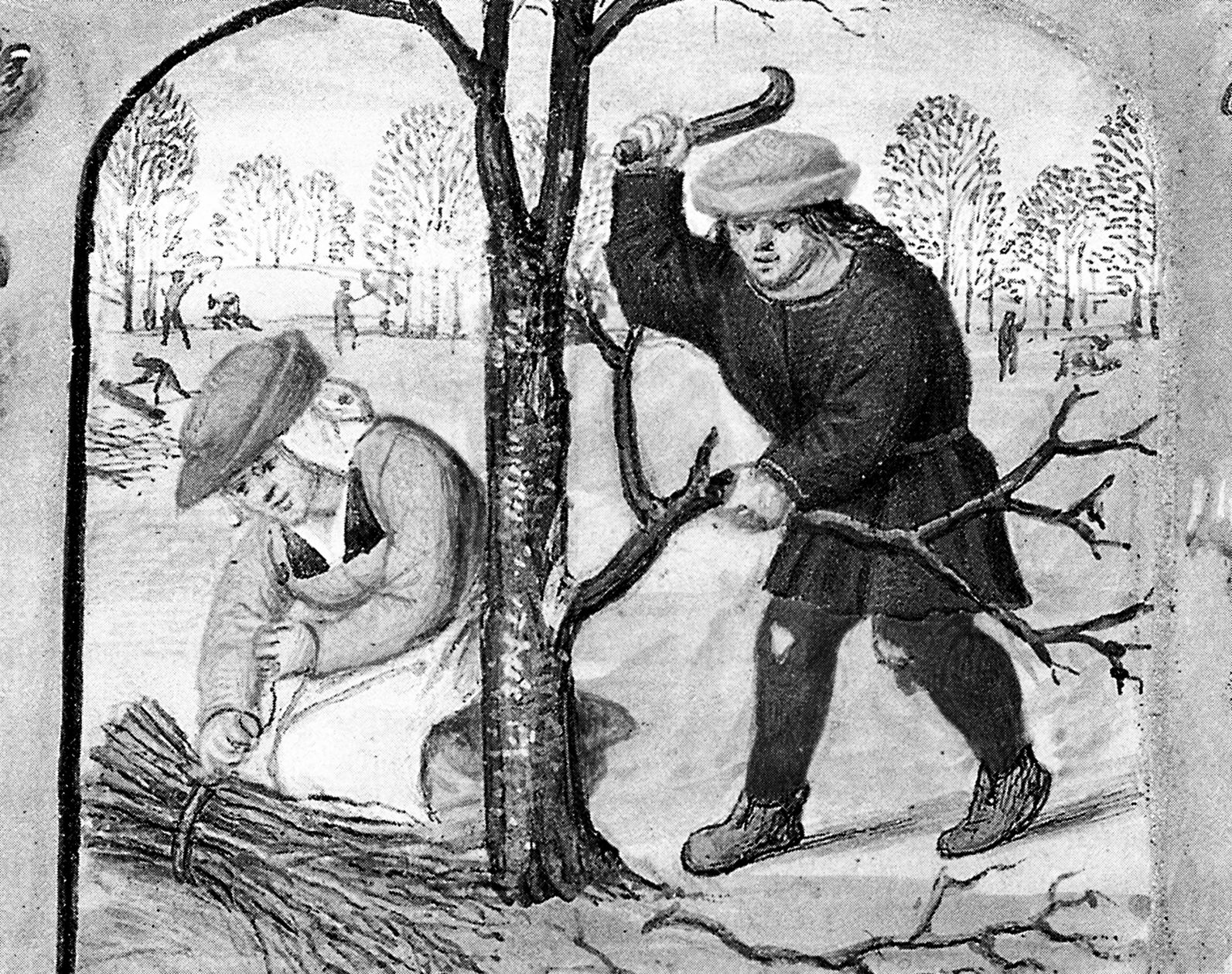 vol-de-bois